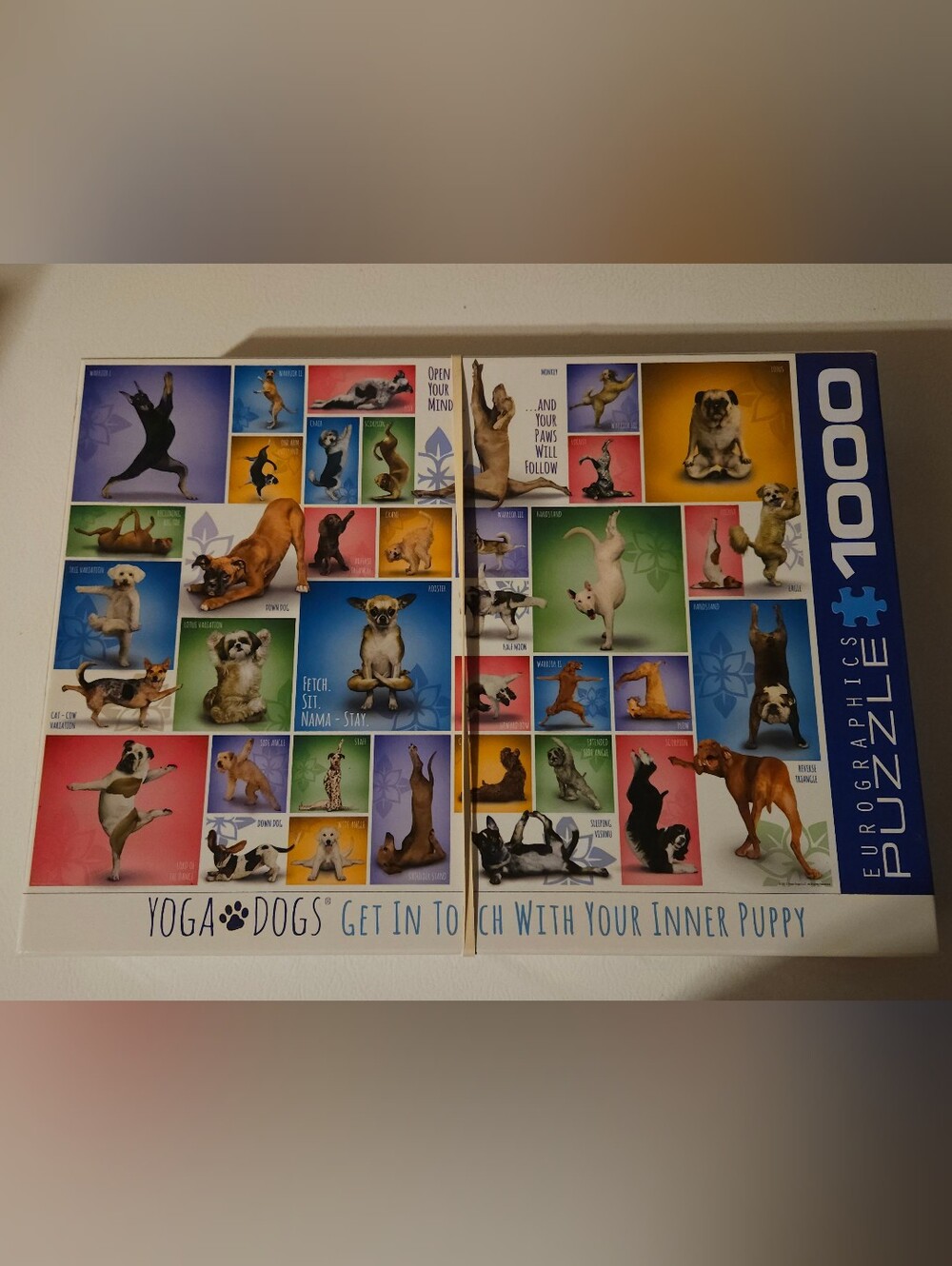 Eurographics Yoga Dogs 1000 Piece Colorful Puzzle